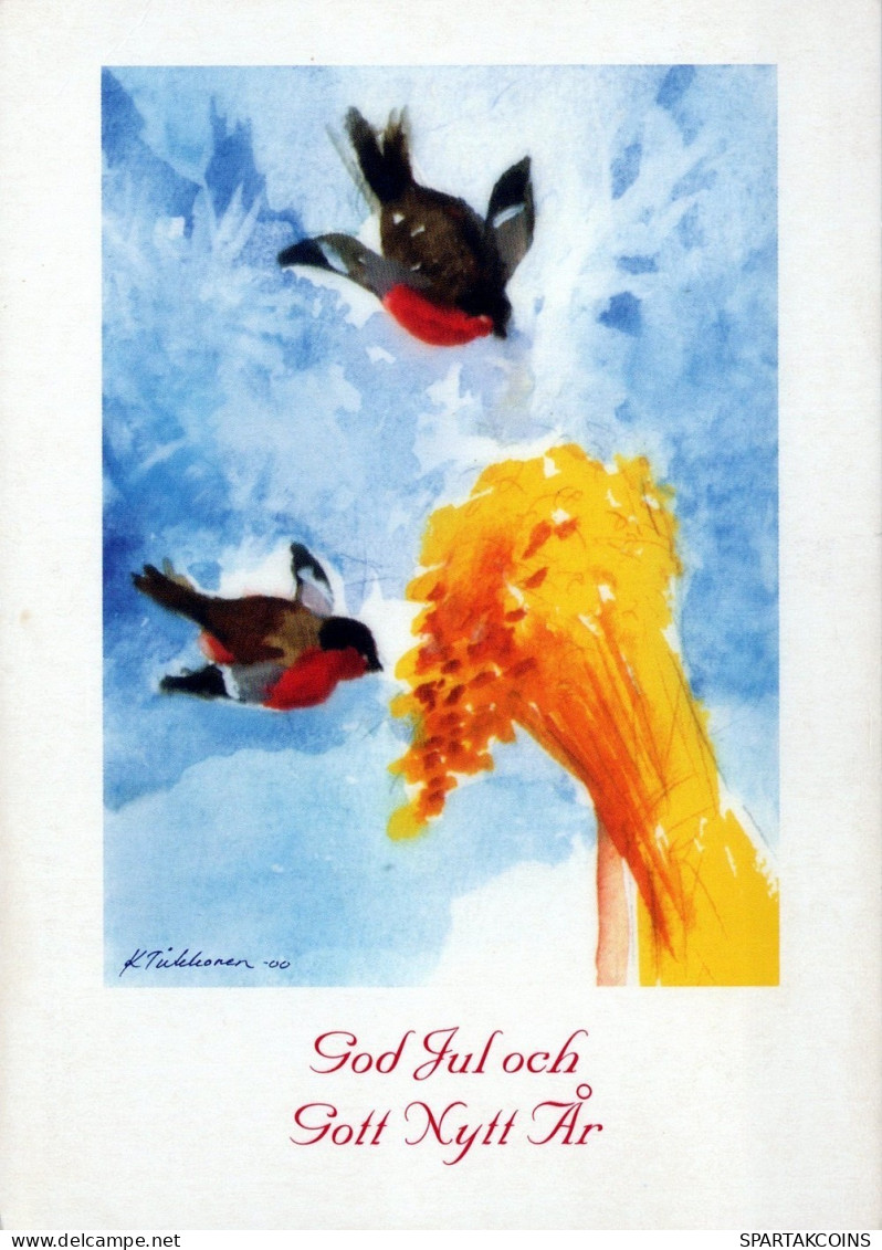 VOGEL Tier Vintage Ansichtskarte Postkarte CPSM #PAN007.DE - Birds