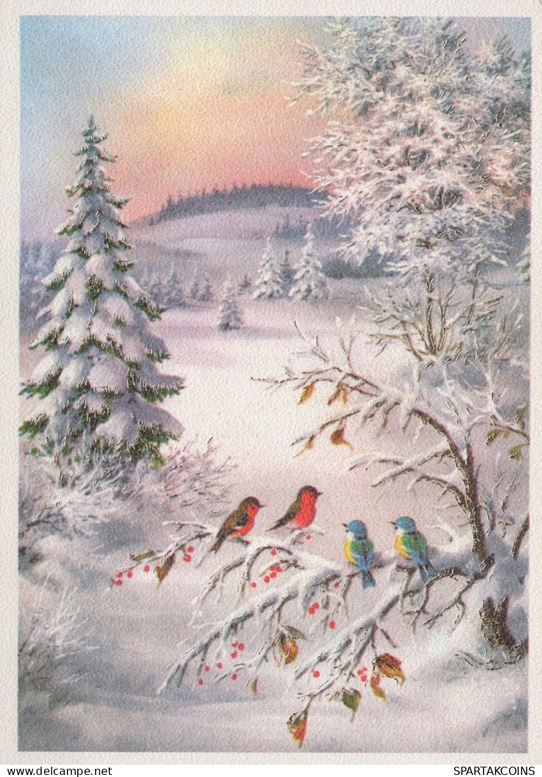 VOGEL Tier Vintage Ansichtskarte Postkarte CPSM #PAM818.DE - Birds