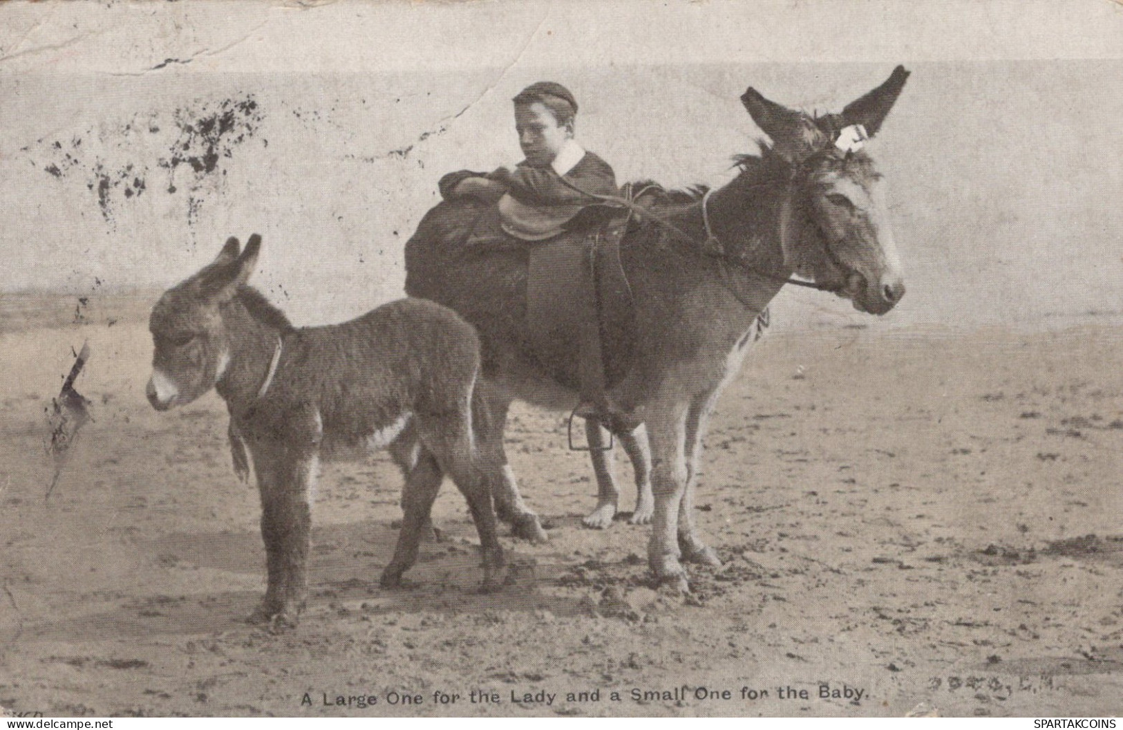 ÂNE Animaux Enfants Vintage Antique CPA Carte Postale #PAA336.FR - Donkeys