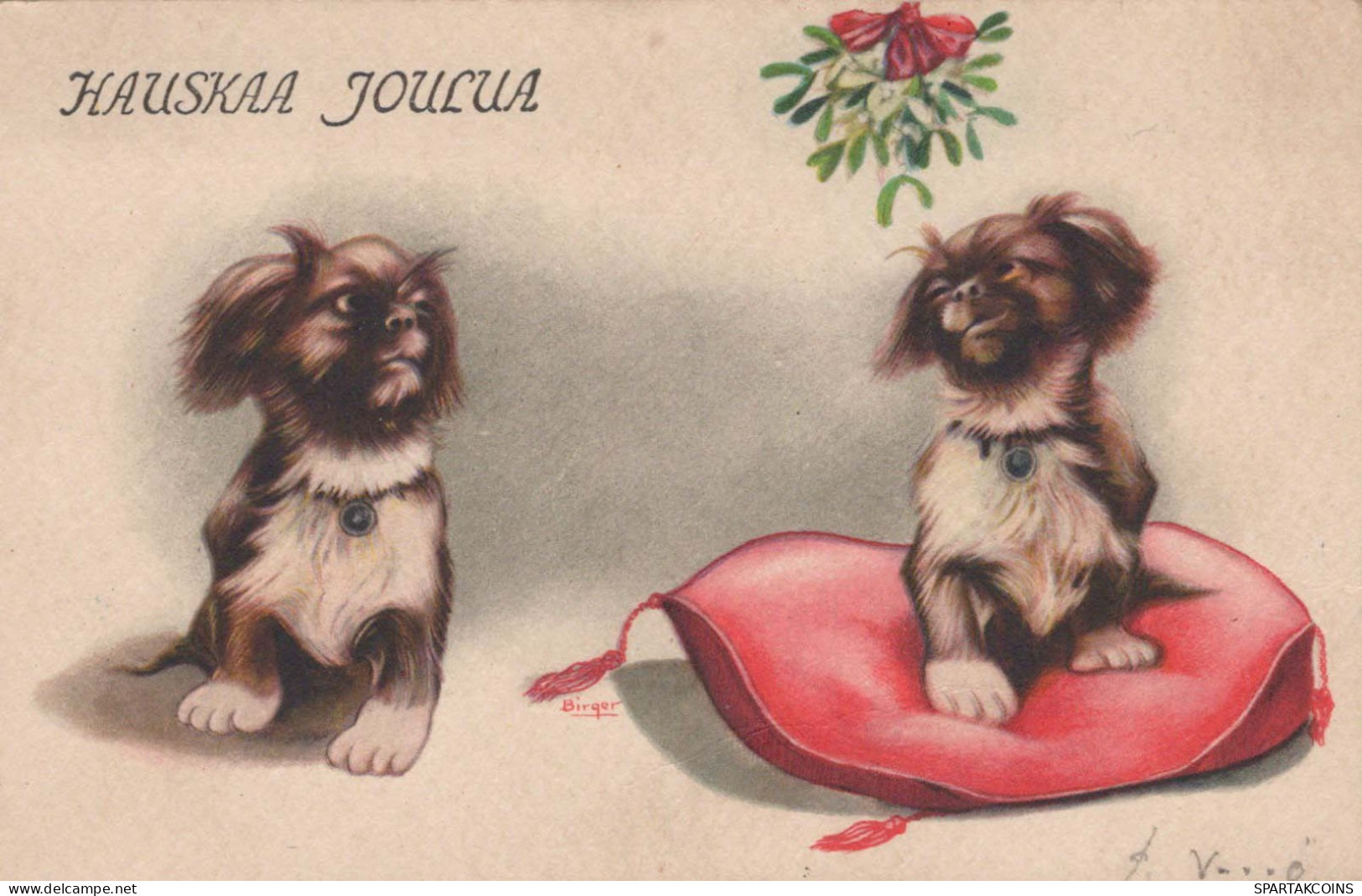 CANE Vintage Cartolina CPSMPF #PKG926.IT - Hunde