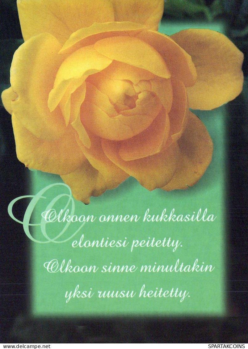 FIORI Vintage Cartolina CPSM #PBZ637.IT - Flores