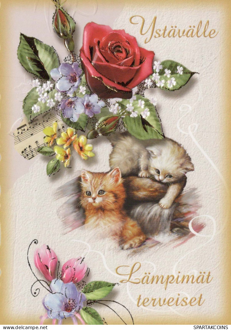 GATTO KITTY Animale Vintage Cartolina CPSM #PBQ915.IT - Cats
