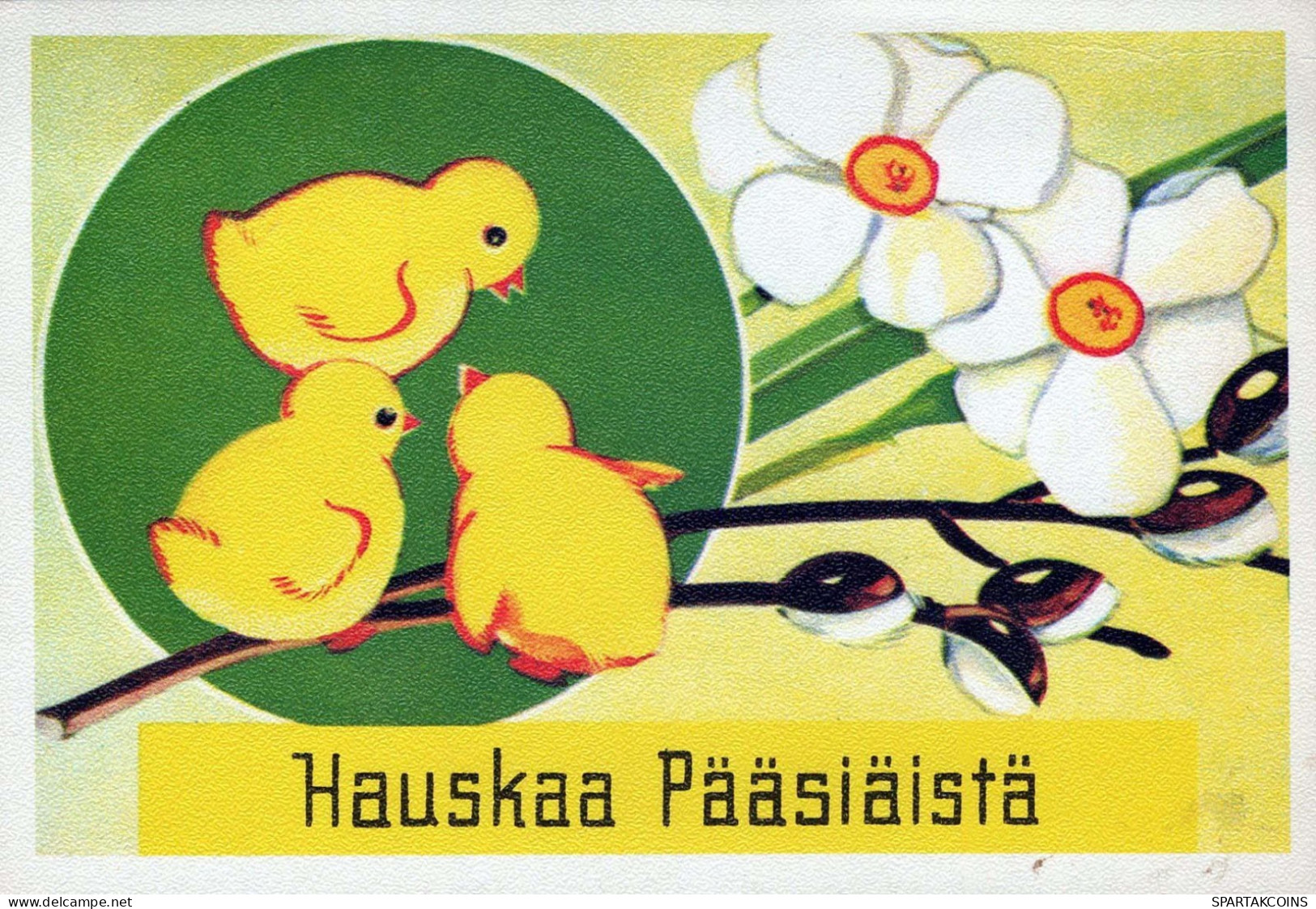 PASQUA POLLO Vintage Cartolina CPSM #PBO935.IT - Easter