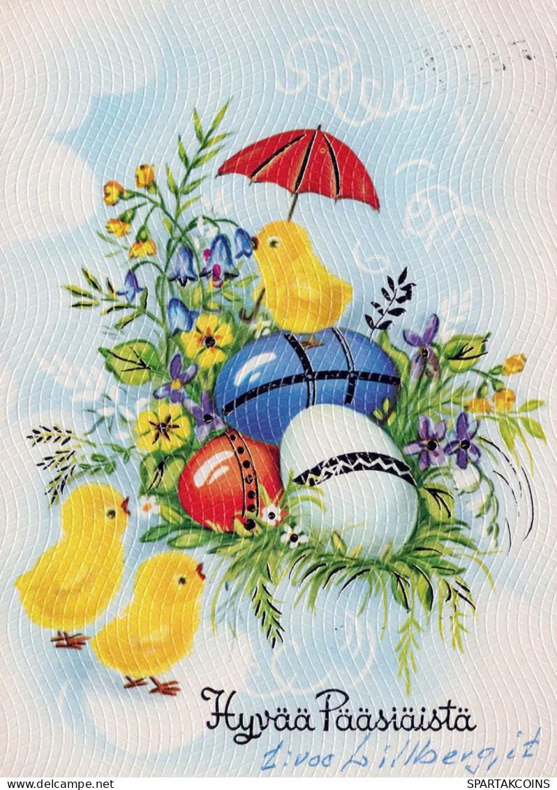 PASQUA POLLO UOVO Vintage Cartolina CPSM #PBO809.IT - Easter