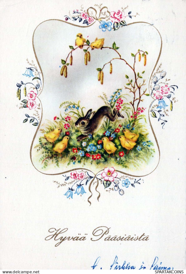 PASQUA CONIGLIO Vintage Cartolina CPSM #PBO370.IT - Easter