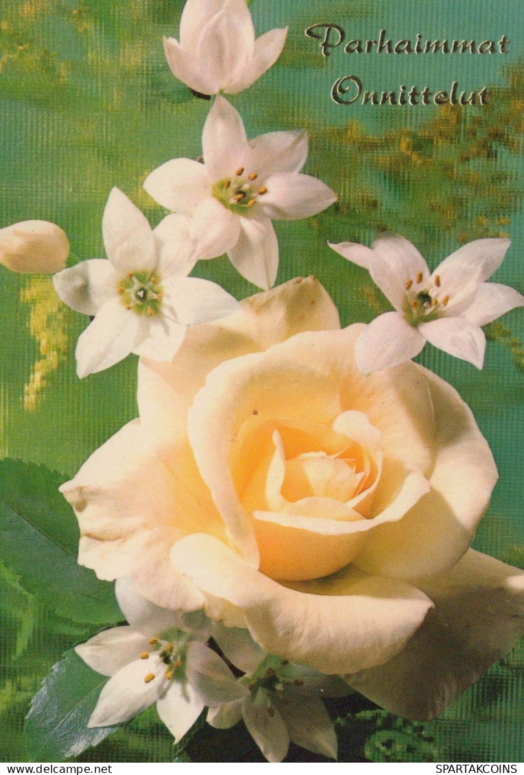 FIORI Vintage Cartolina CPSM #PAS350.IT - Blumen