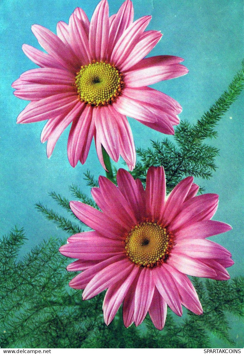 FIORI Vintage Cartolina CPSM #PAR329.IT - Flowers