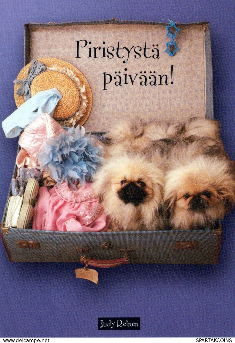 CANE Animale Vintage Cartolina CPSM #PAN766.IT - Dogs