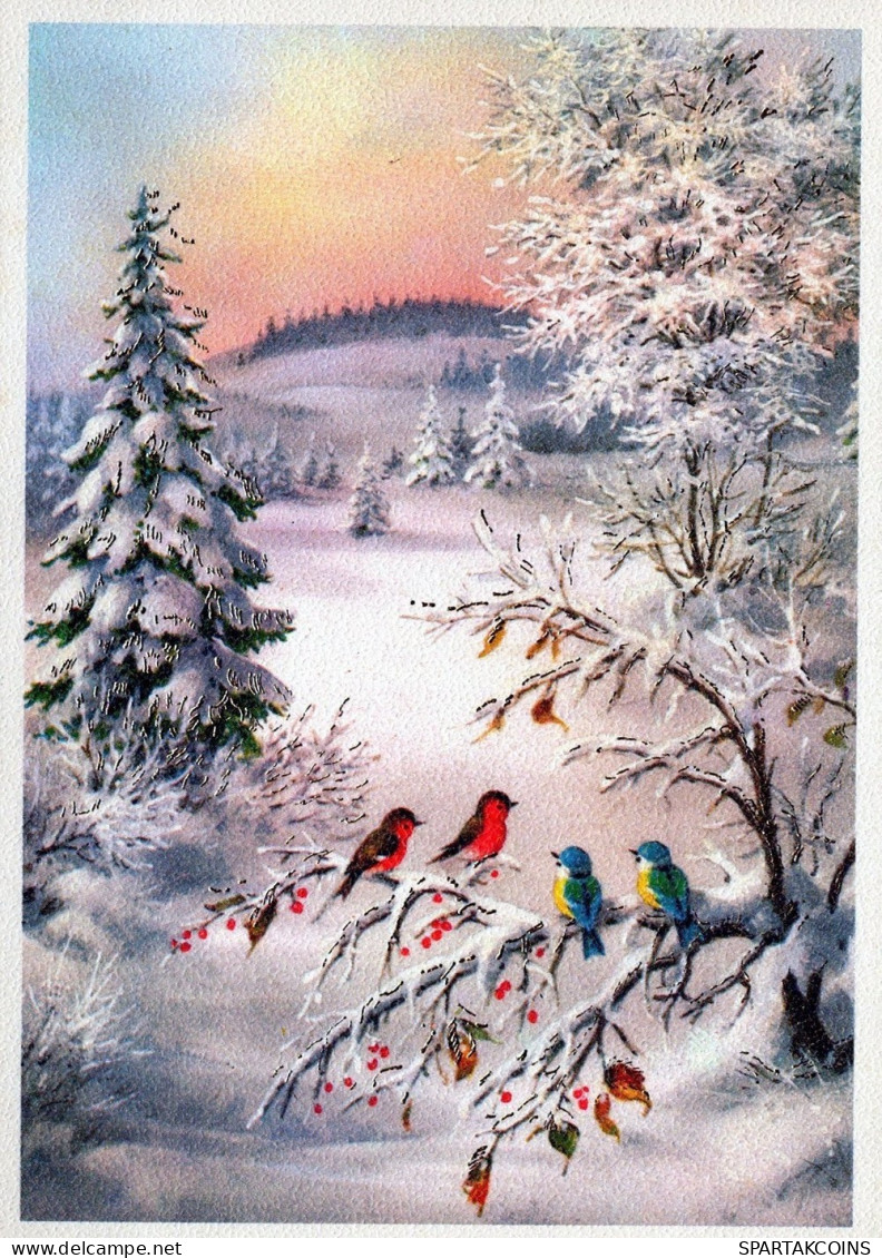 UCCELLO Animale Vintage Cartolina CPSM #PAM819.IT - Birds