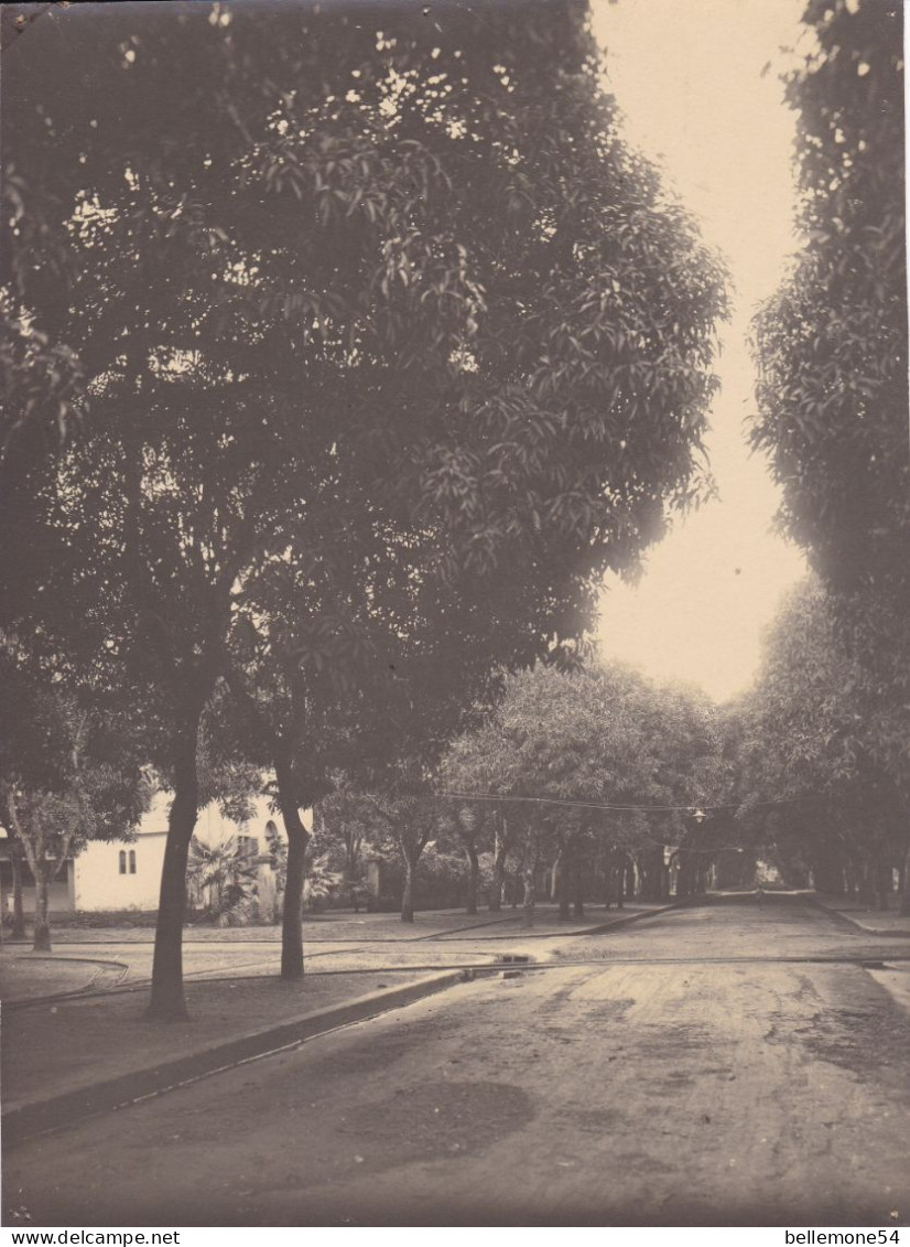 Photographie - Guinée Française - Konakri - Modèle De Rues à Konakri - D16,5cmsx22,2cms(voir Scan Recto-verso) - Guinée Française