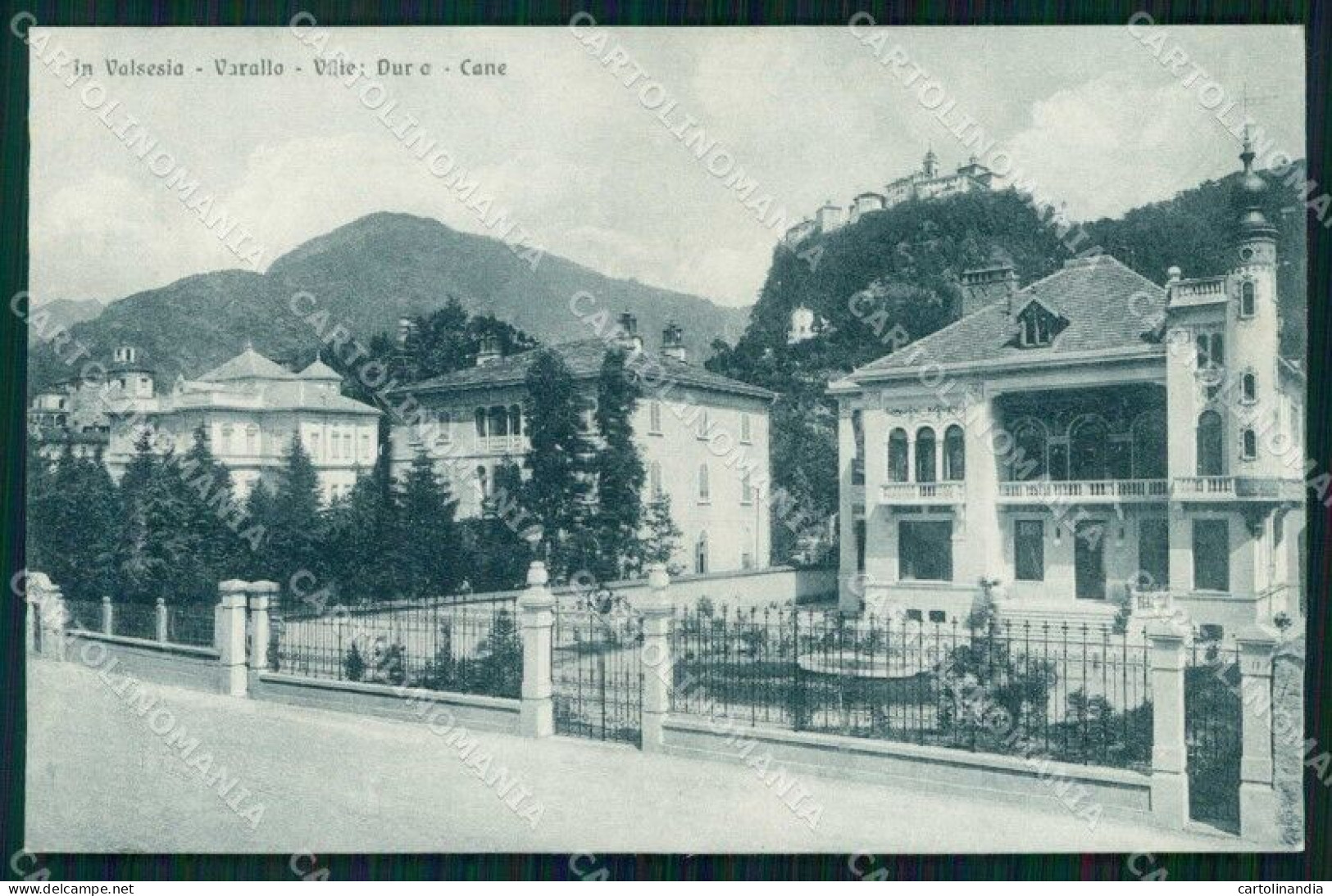 Vercelli Varallo Sesia Villa Durio Villa Cane Zanfa Cartolina RT3191 - Vercelli