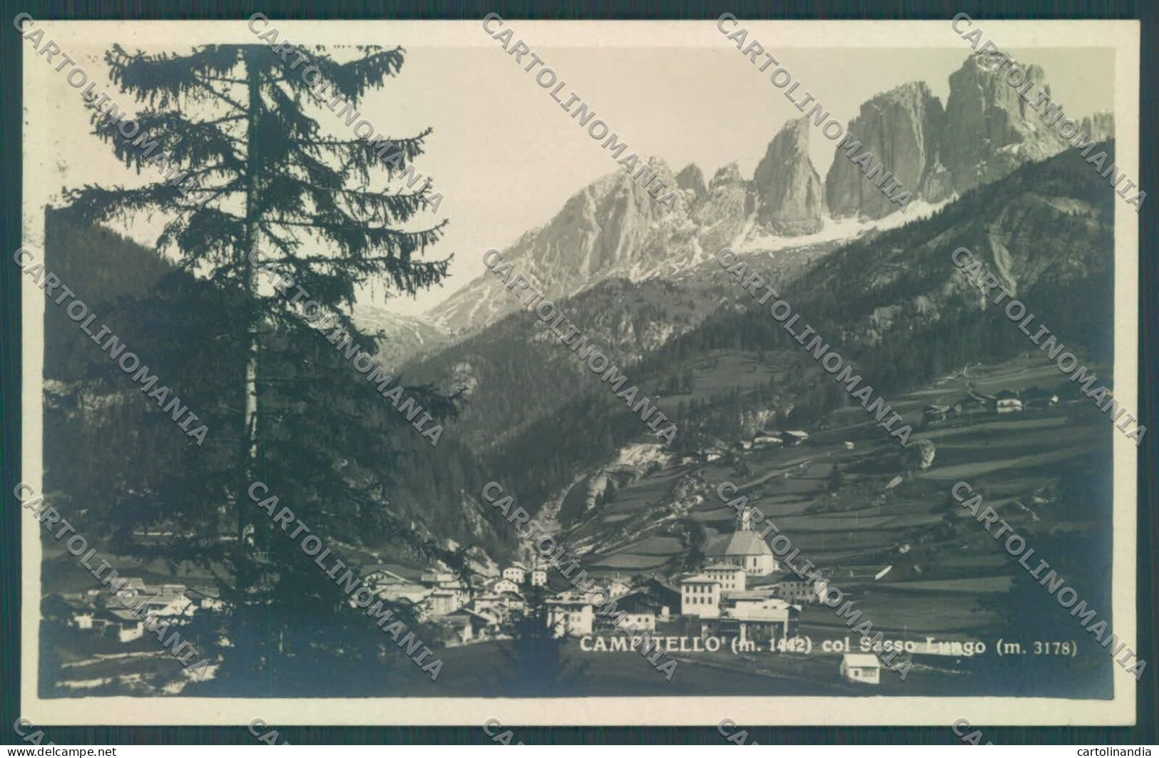 Trento Campitello Di Fassa Sassolungo Foto Cartolina ZC5547 - Trento