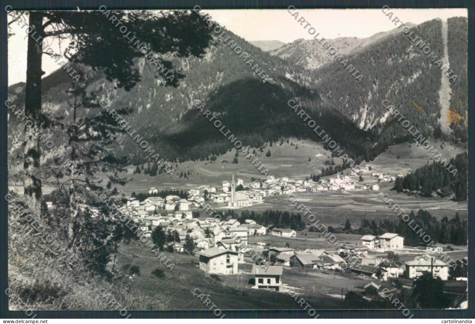 Trento Pozza Di Fassa Foto FG Cartolina ZF2148 - Trento