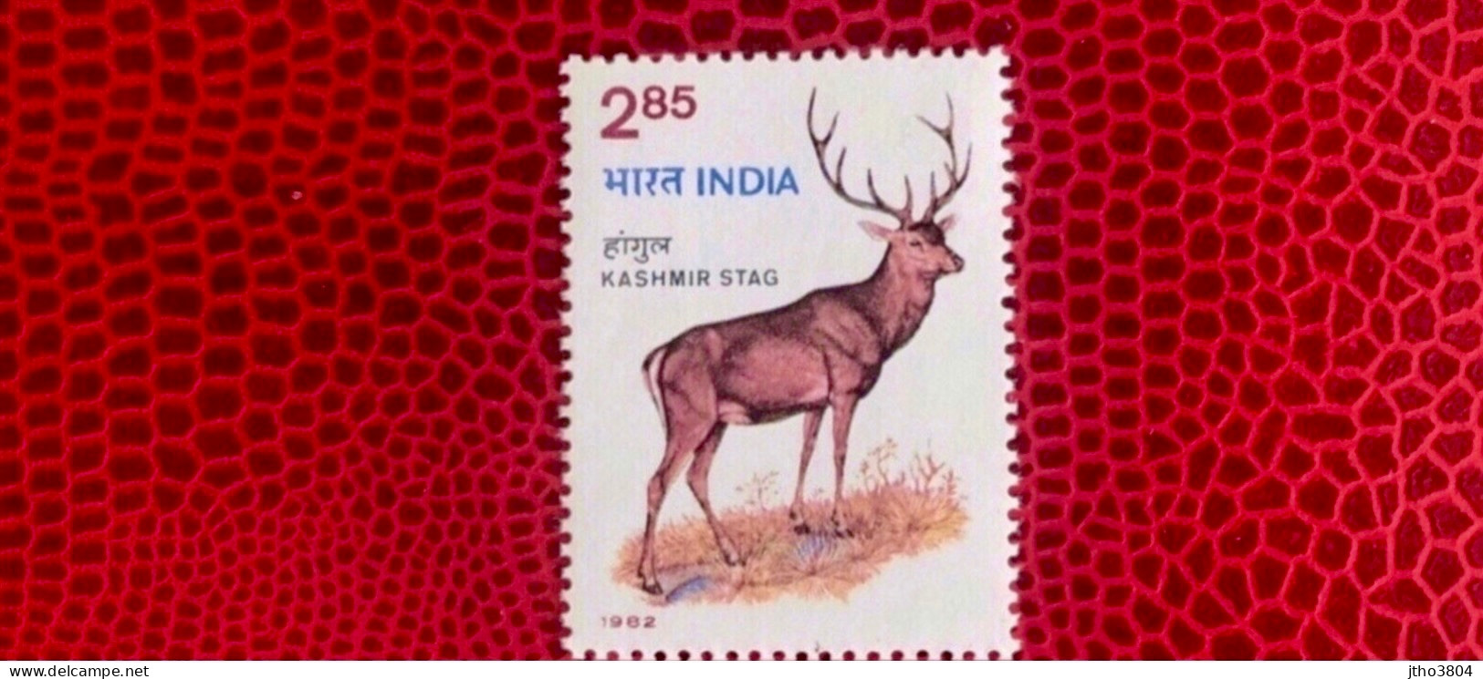 INDE 1982 1v Neuf ** MNH YT 726 Wildlife Week Kashmir Stag Mammifère Mammal Mamífero Saügetier India - Wild