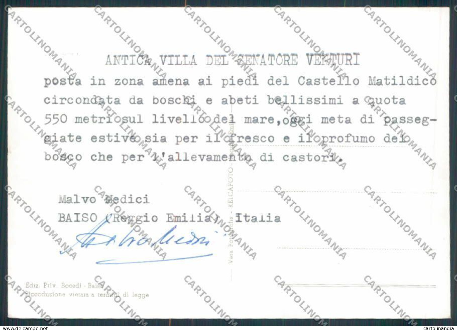 Reggio Emilia Baiso Foto FG Cartolina ZF5731 - Reggio Nell'Emilia