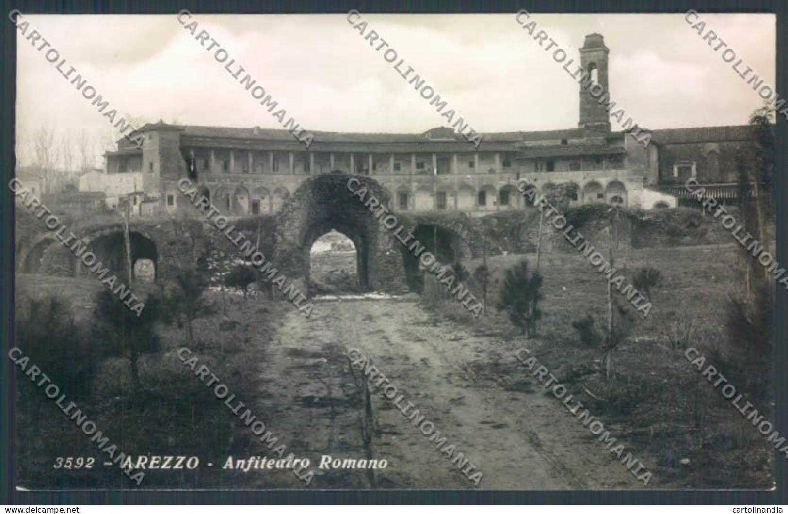 Arezzo Città Anfiteatro Foto Cartolina ZG0867 - Arezzo