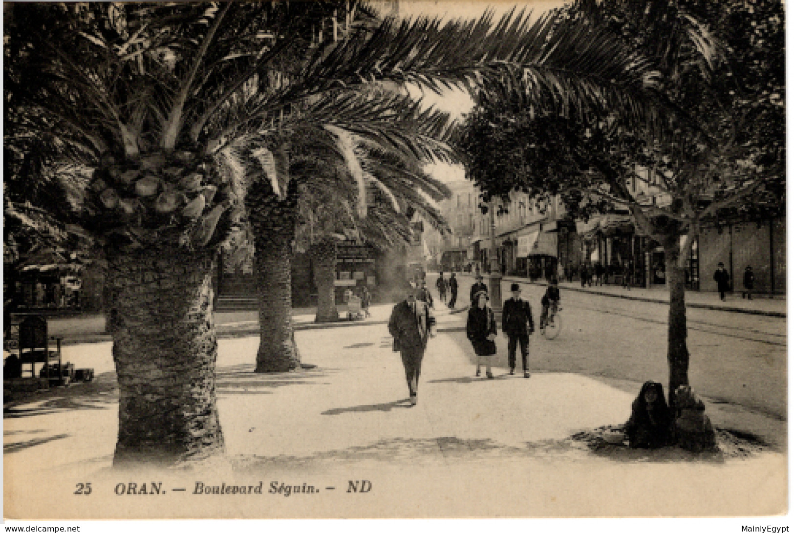 Algeria:  Postcard: Oran, Boulevard Seguin - PC48 - Oran