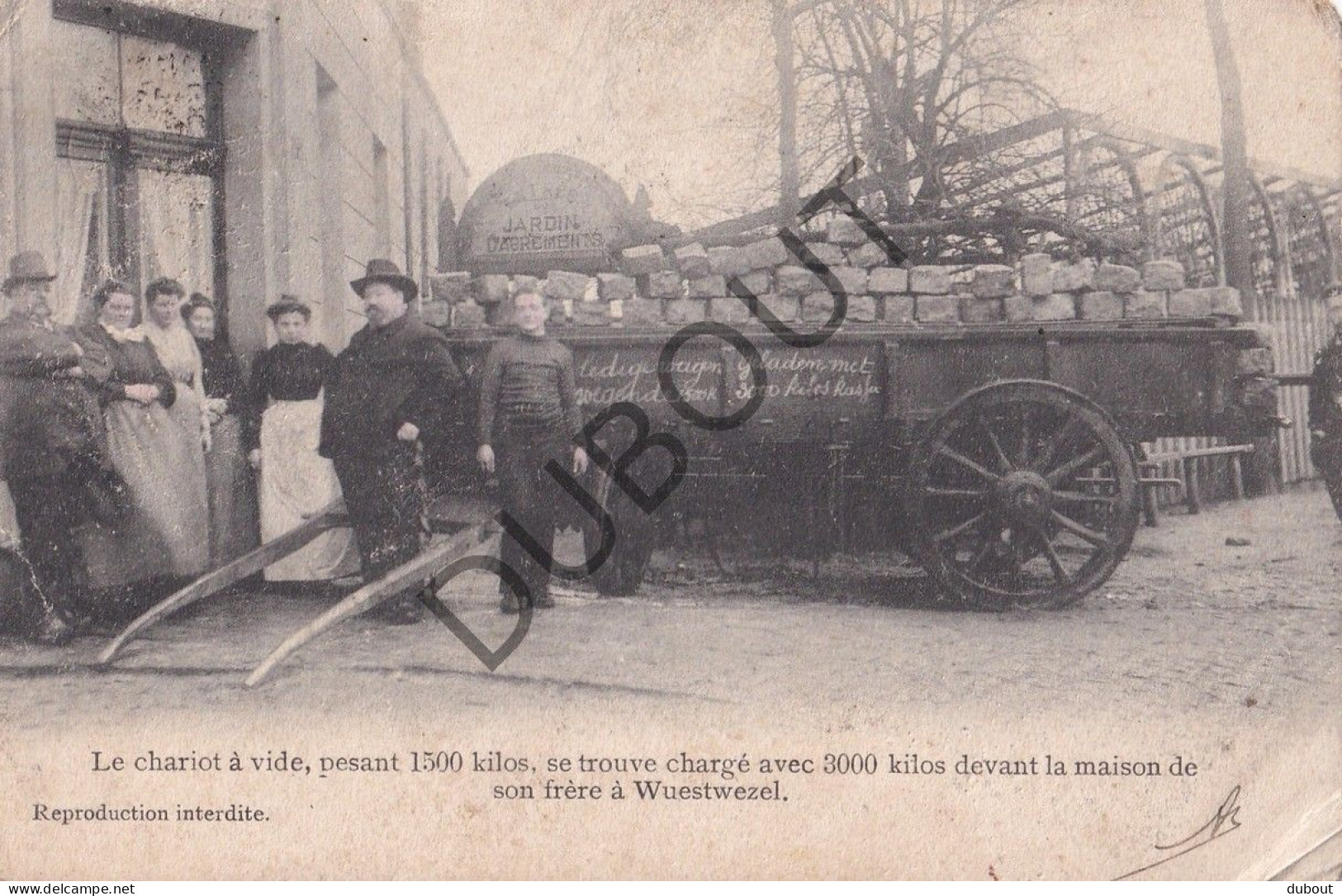 Postkaart - Carte Postale - Wuustwezel - Le Chariot à Vide, Devant La Maison De Son Frère à Wuestwezel (C5830) - Wuustwezel