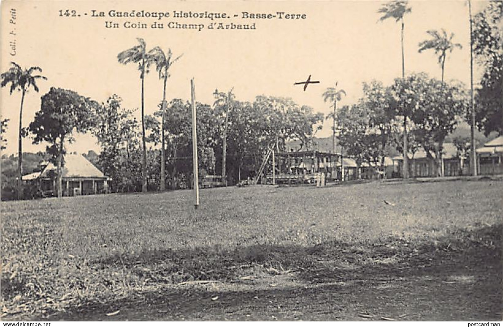 La Guadeloupe Historique - BASSE-TERRE - Un Coin Du Champ D'Arbaud - Ed. F. Petit 142 - Basse Terre