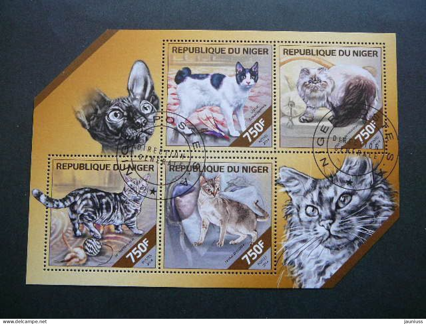 Cats. Katzen. Chats Niger # 2014 Used S/s #843 Domestic Cats - Gatos Domésticos