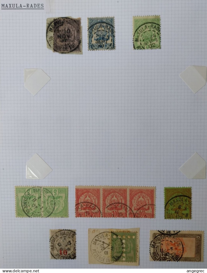 Tunisie Lot Timbre Oblitération Choisies Maxula Rades Dont Colis Postaux Et Fragment à Voir - Used Stamps