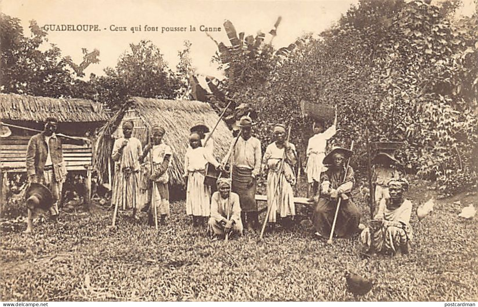Guadeloupe - Ceux Qui Font Pousser La Canne - Ed. Phos  - Sonstige & Ohne Zuordnung
