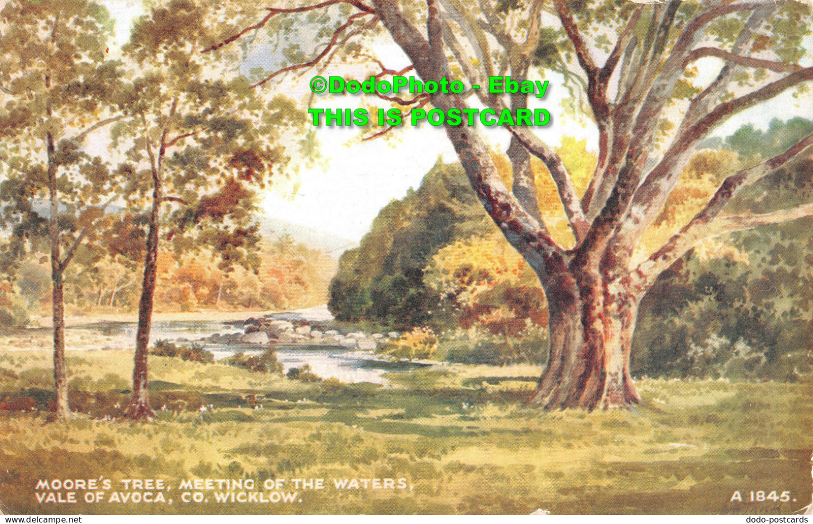 R405450 Co. Wicklow. Vale Of Avoca. Moore Tree. Meeting Of The Water. Valentine - Mondo