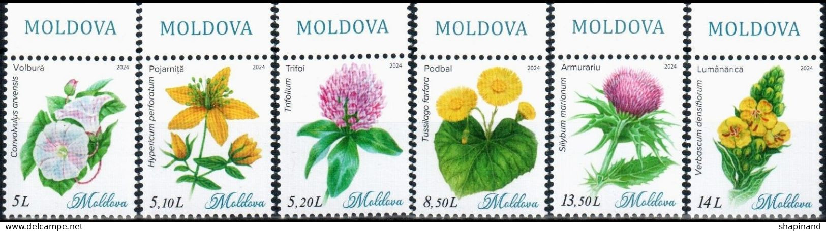 Moldova 2024 "Wildflowers" 4v Quality:100% - Moldavie