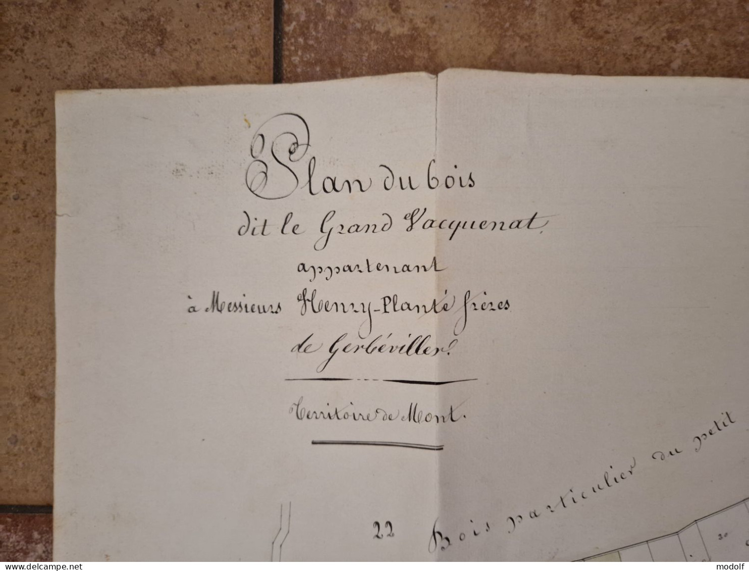 Grand Plan (70 X 57 Cm) Du Bois Dit Le Grand Vacquenat - Mont-sur-Meurthe - 1880 - Andere & Zonder Classificatie