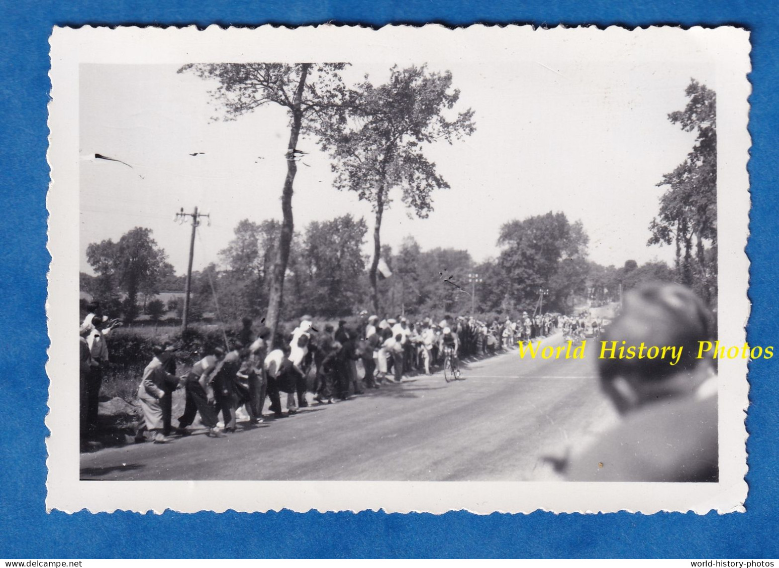 Photo Ancienne Snapshot - Secteur De BERCK - Passage Du Tour De France 1949 étape Boulogne Sur Mer / Rouen Cycliste Vélo - Wielrennen