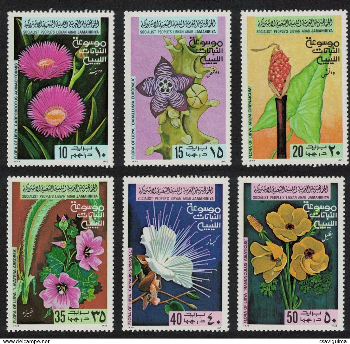 Libya - 1979 - Plants: Flowers - Yv 770/75 - Sonstige & Ohne Zuordnung