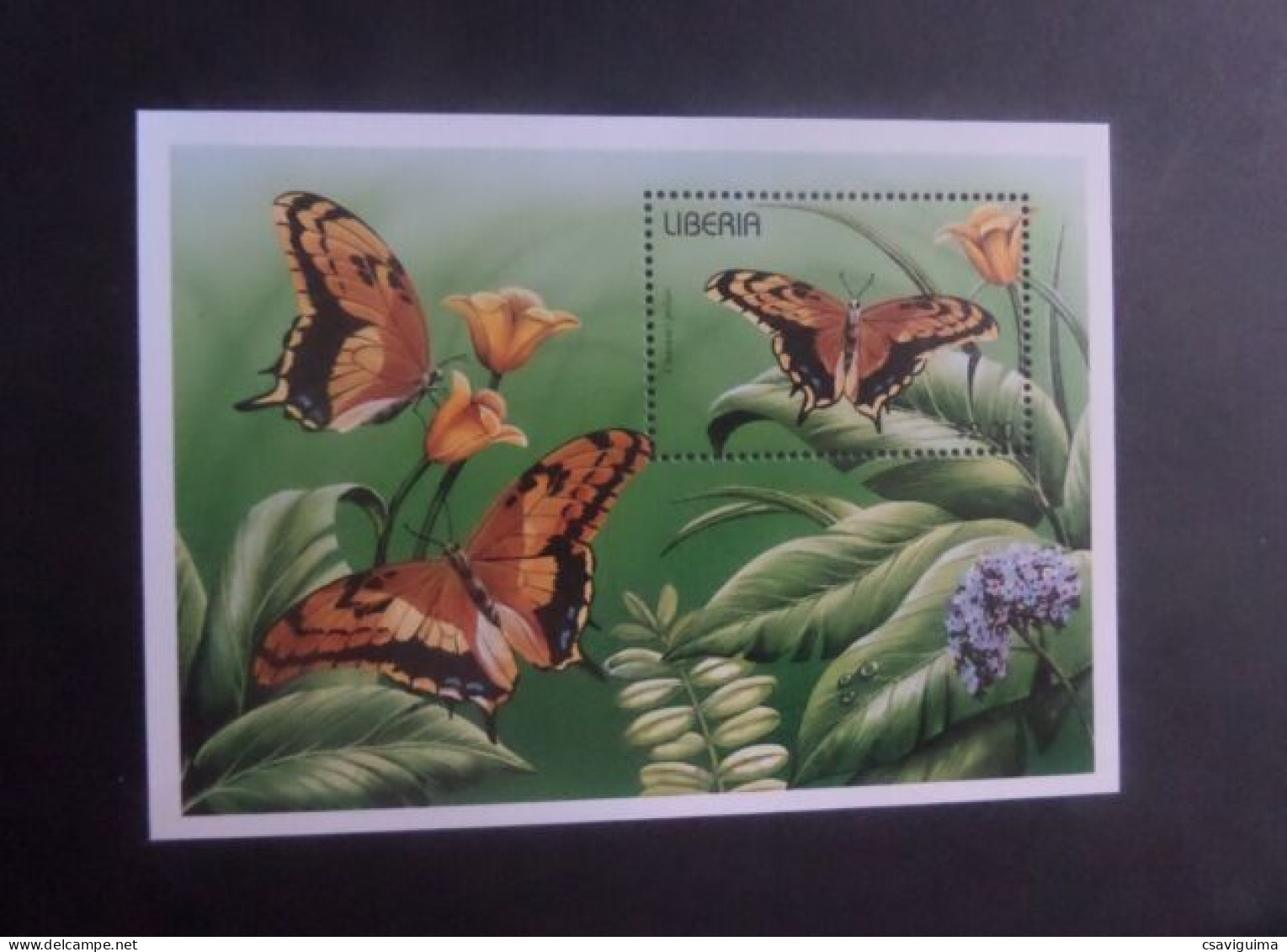 Liberia - 1996 - Insects: Butterflies - Yv Bf 149 - Vlinders