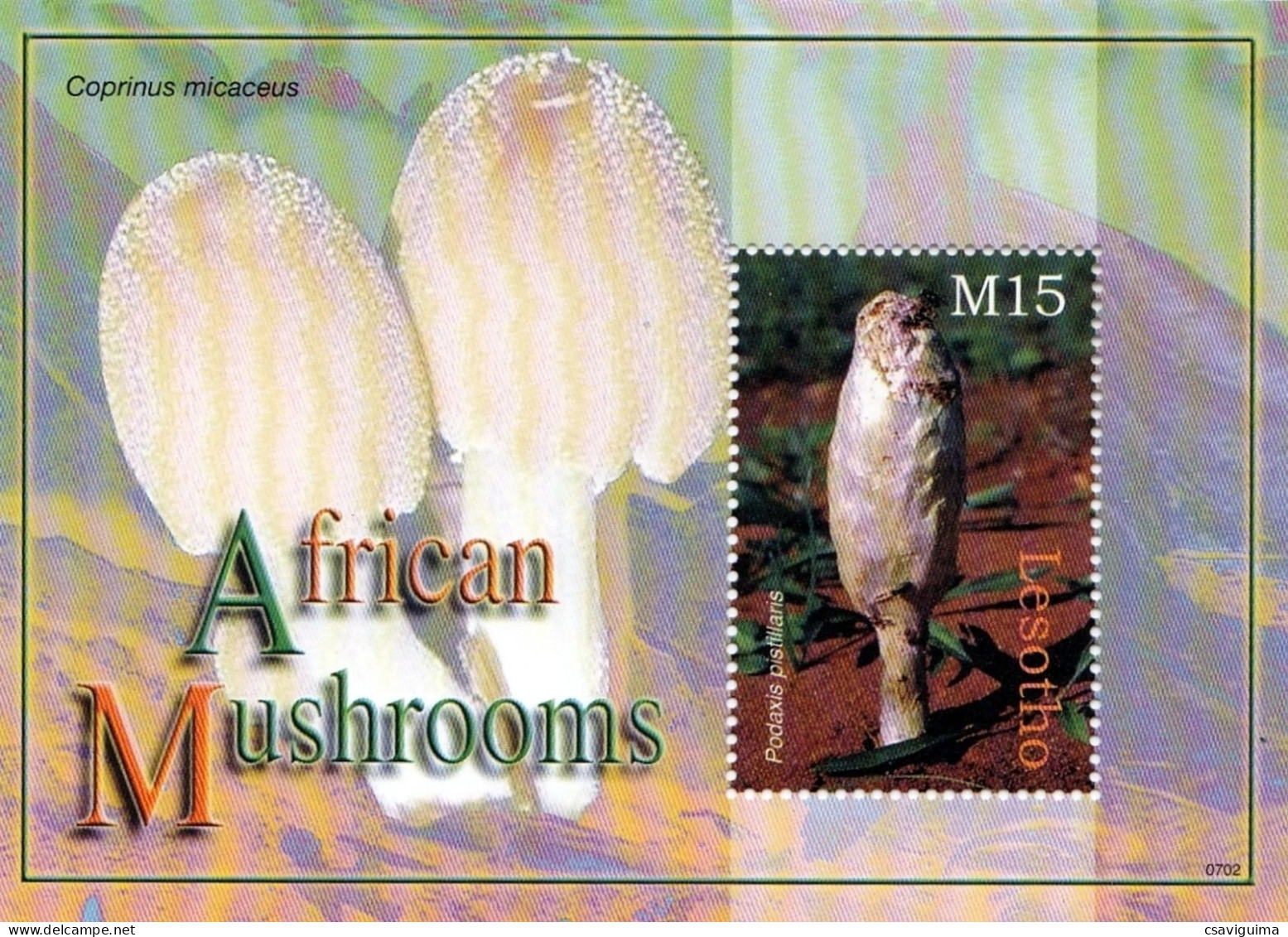 Lesotho - 2007 - Mushrooms - Yv Bf 206 - Mushrooms
