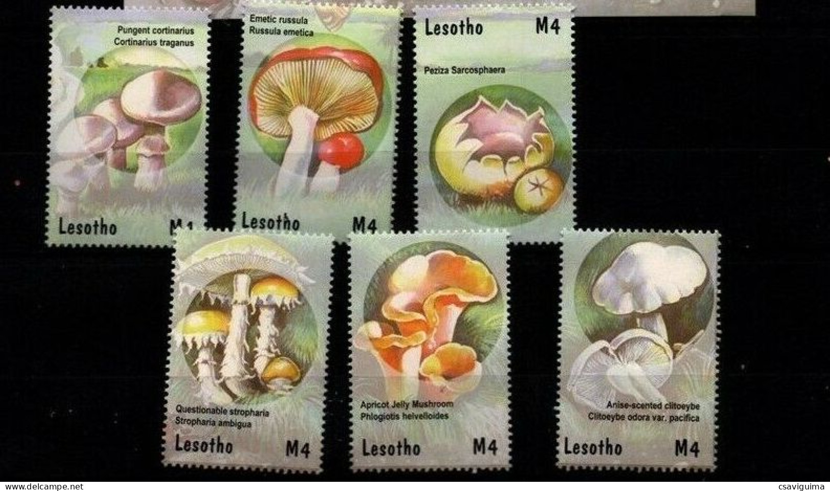 Lesotho - 2001 - Mushrooms - Yv 1725/30 (from Sheet) - Mushrooms