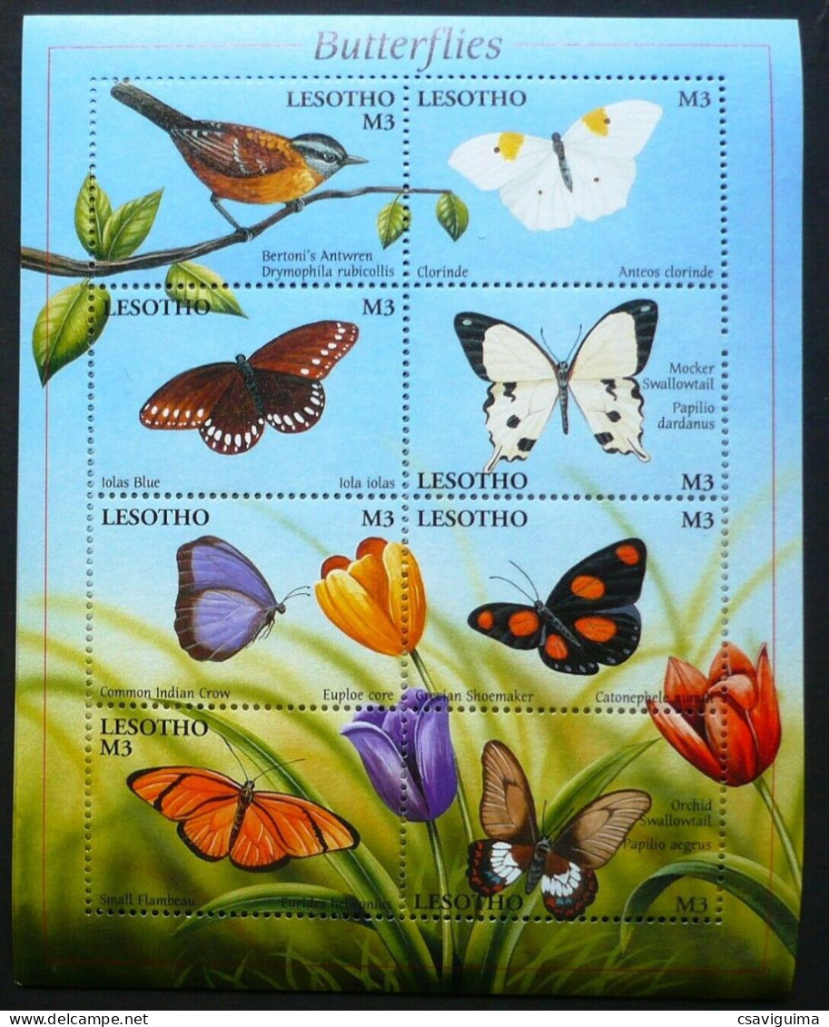 Lesotho - 2001 - Birds, Butterflies - Yv 1678A/H - Papillons