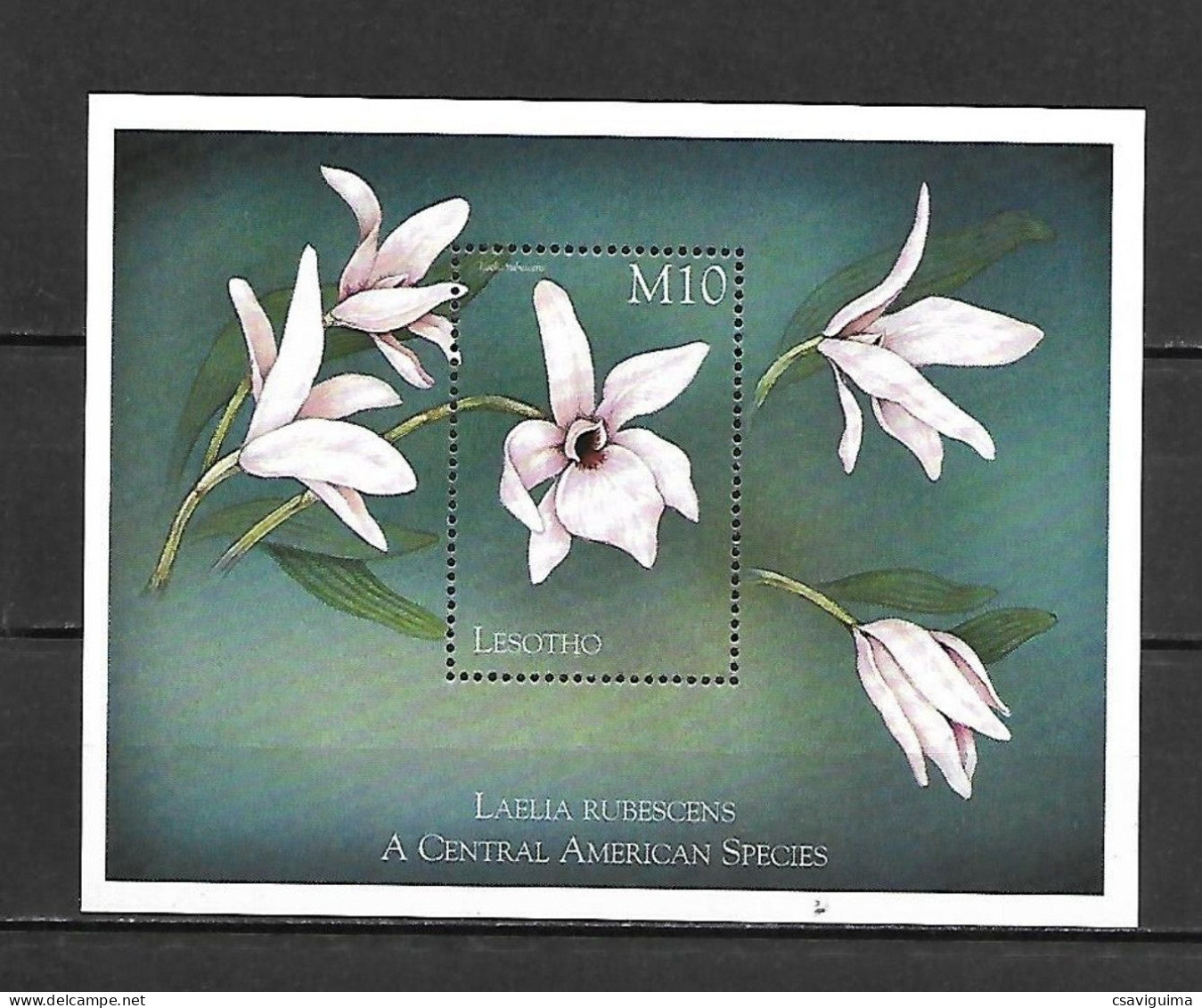 Lesotho - 1999 - Flowers - Yv Bf 152 - Autres & Non Classés