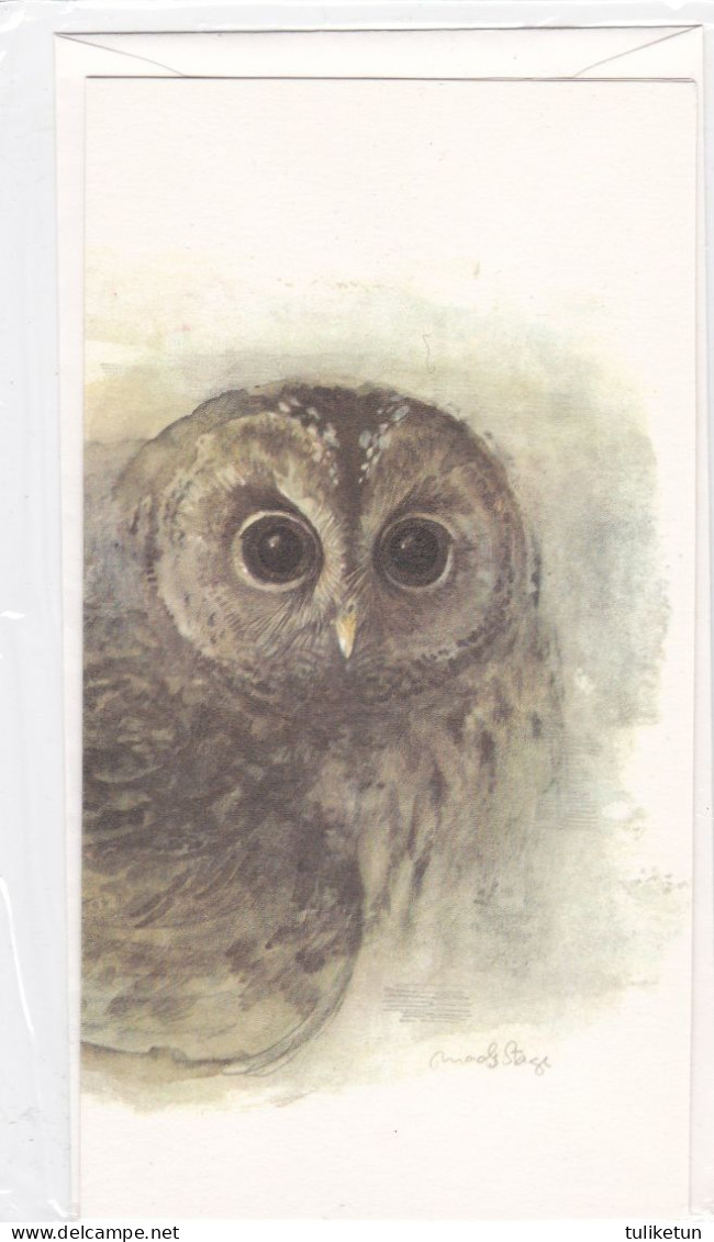 Owl - Hibou - Uil - Eule - Gufo - Coruja - Búho - Owl - Double Card - Oiseaux