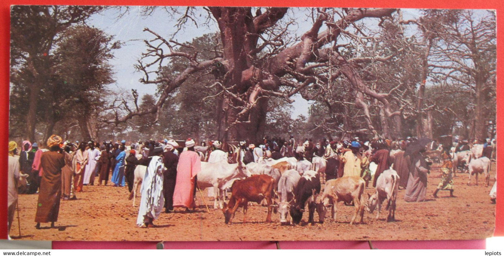 Sénégal - Le Marché Du Samedi Matin à Touba Toull - Sénégal