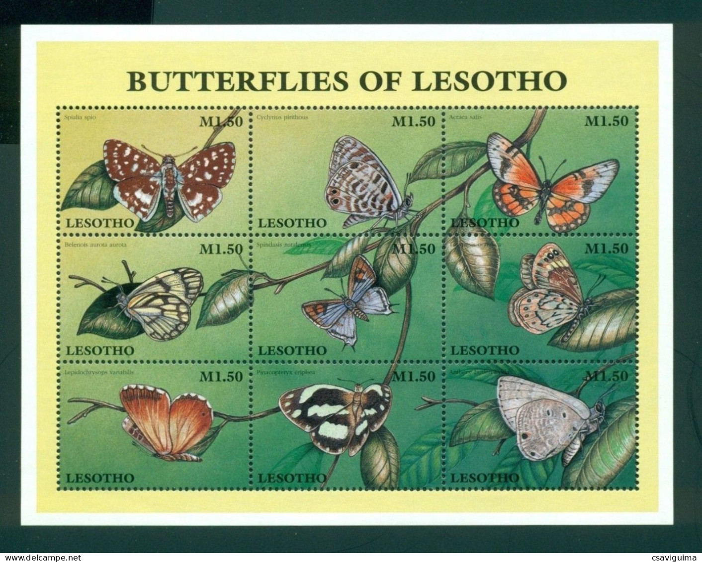 Lesotho - 1997 - Butterflies Of Lesotho - Yv 1239B/J - Farfalle