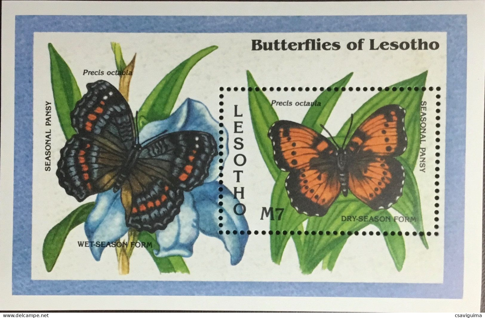 Lesotho - 1993 - Insects: Butterflies - Yv Bf 105 - Vlinders