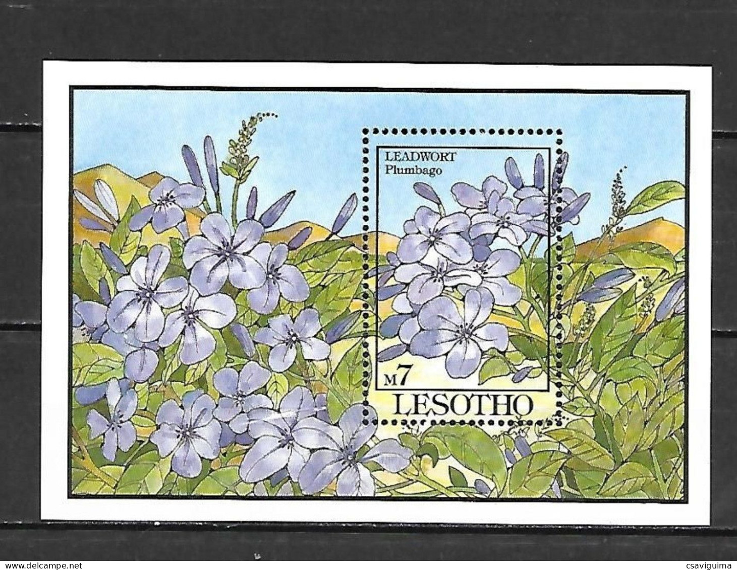 Lesotho - 1993 - Flowers - Yv Bf 104 - Otros & Sin Clasificación