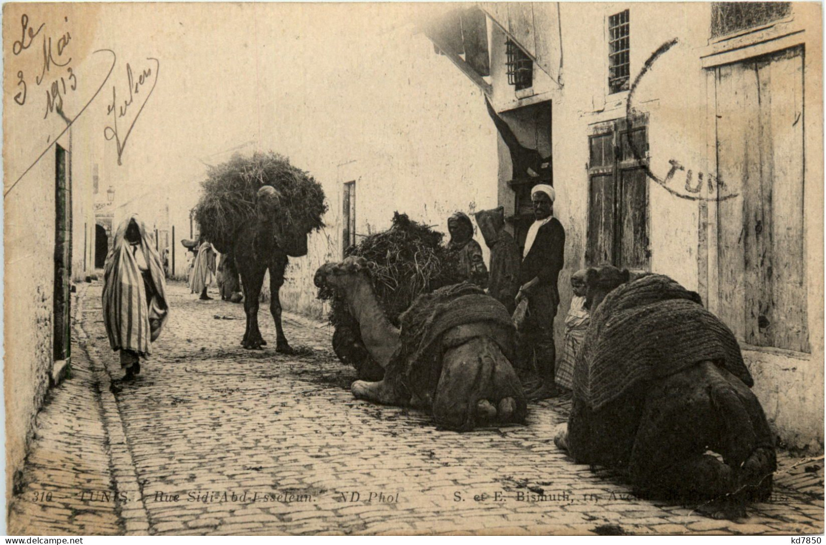 Tunis - Rue Sidi Abd Esseleun - Camel - Tunisia