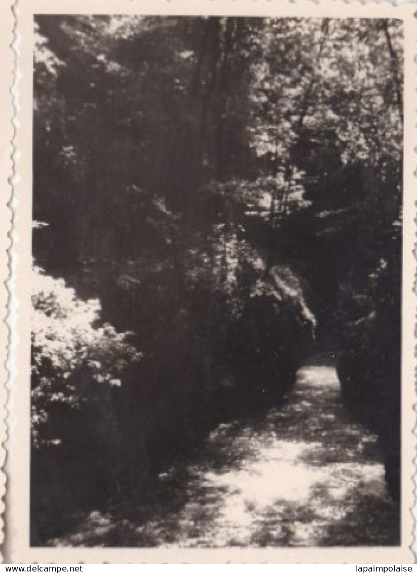 3 Photos De Particulier 31/07/1957 Suisse Bienne Les Gorges Du Taubenloch  Divers Vues  Réf 29672 - Plaatsen