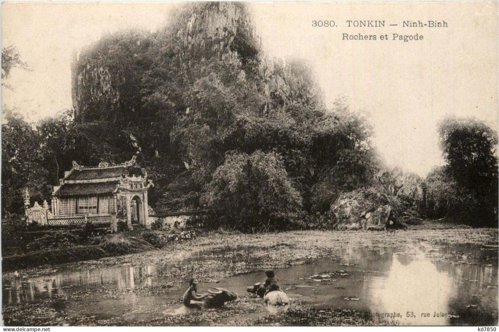 Tonkin - Ninh-Binh - Viêt-Nam