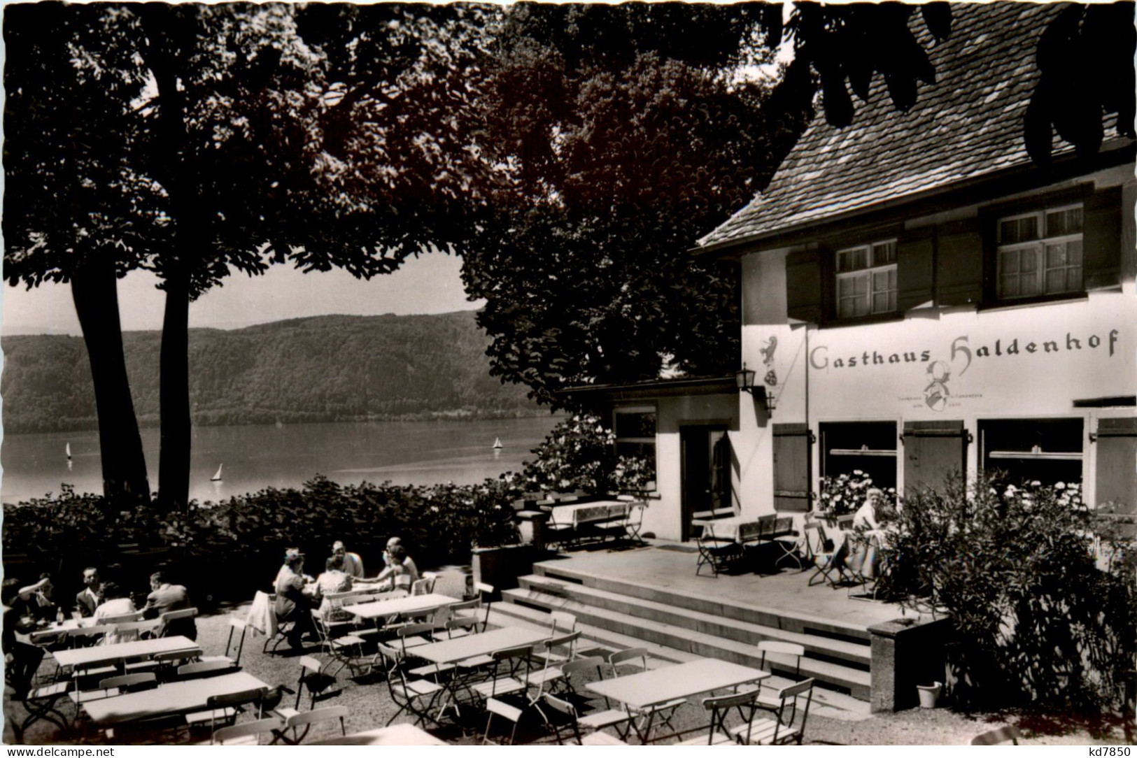 Ludwigshafen - Pension Haldenhof - Ludwigshafen