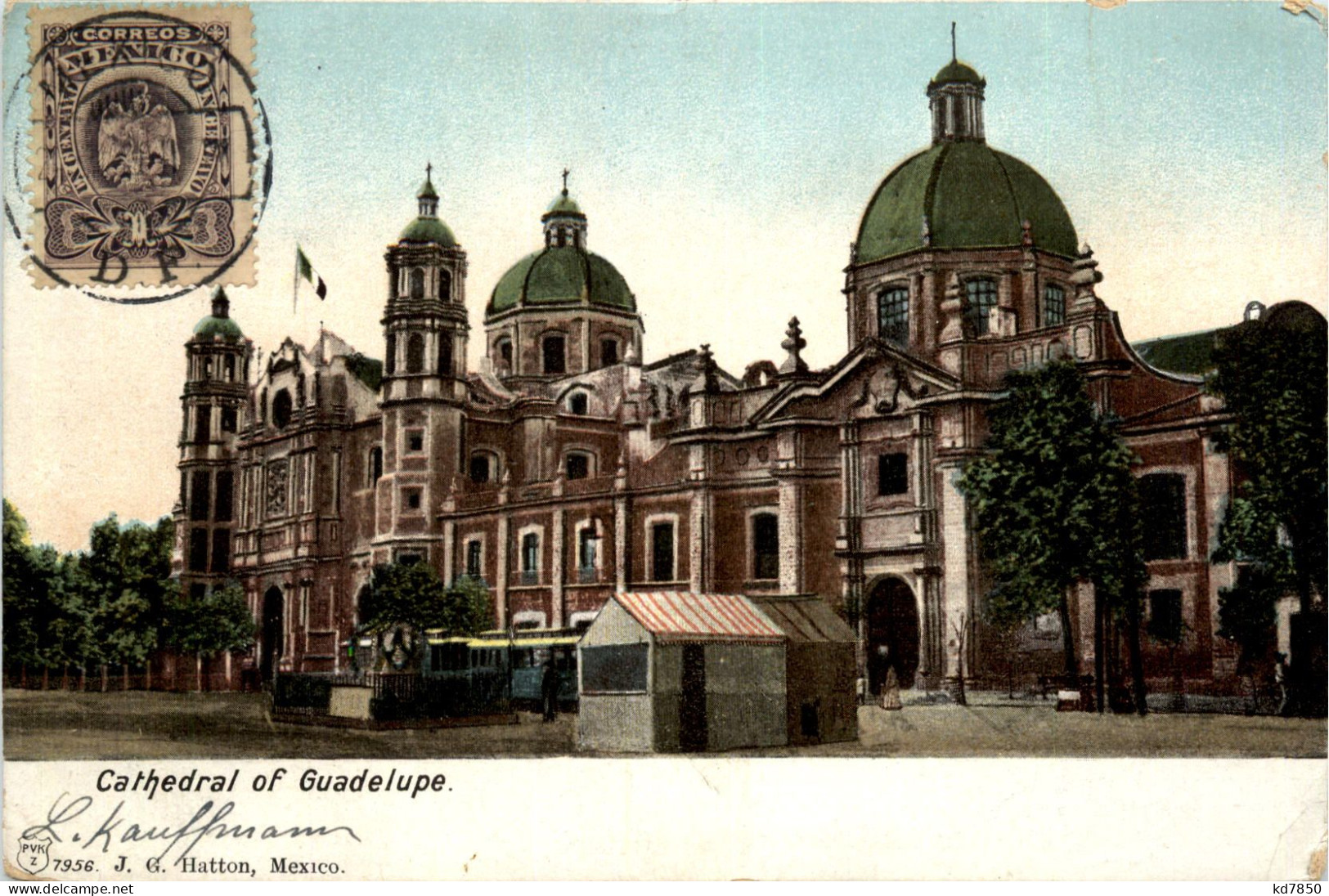 Cathedral Of Guadelupe - Mexico