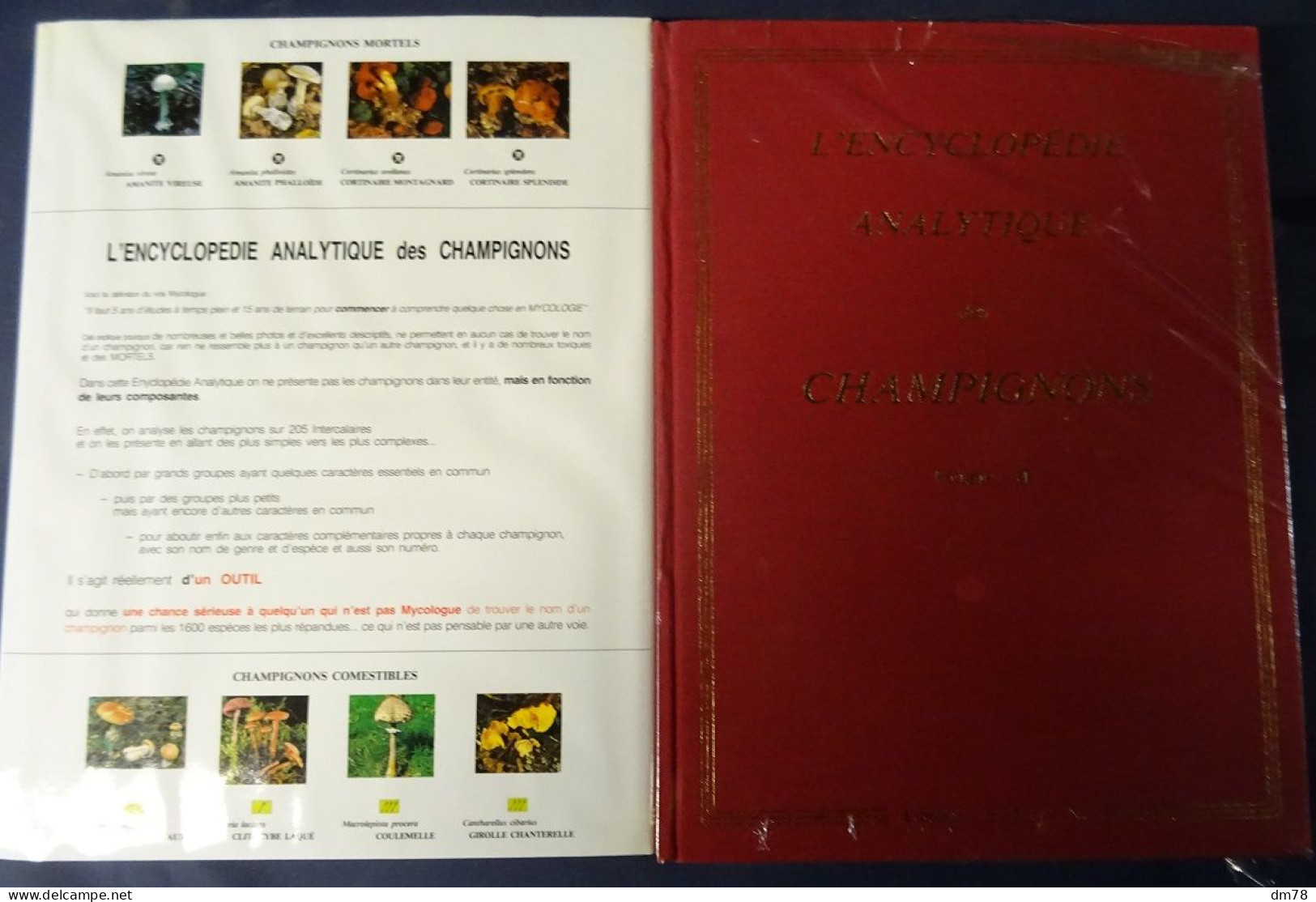 ENCYCLOPEDIE ANALYTIQUE DES CHAMPIGNONS - 2 VOLUMES - ETAT NEUF - Encyclopaedia