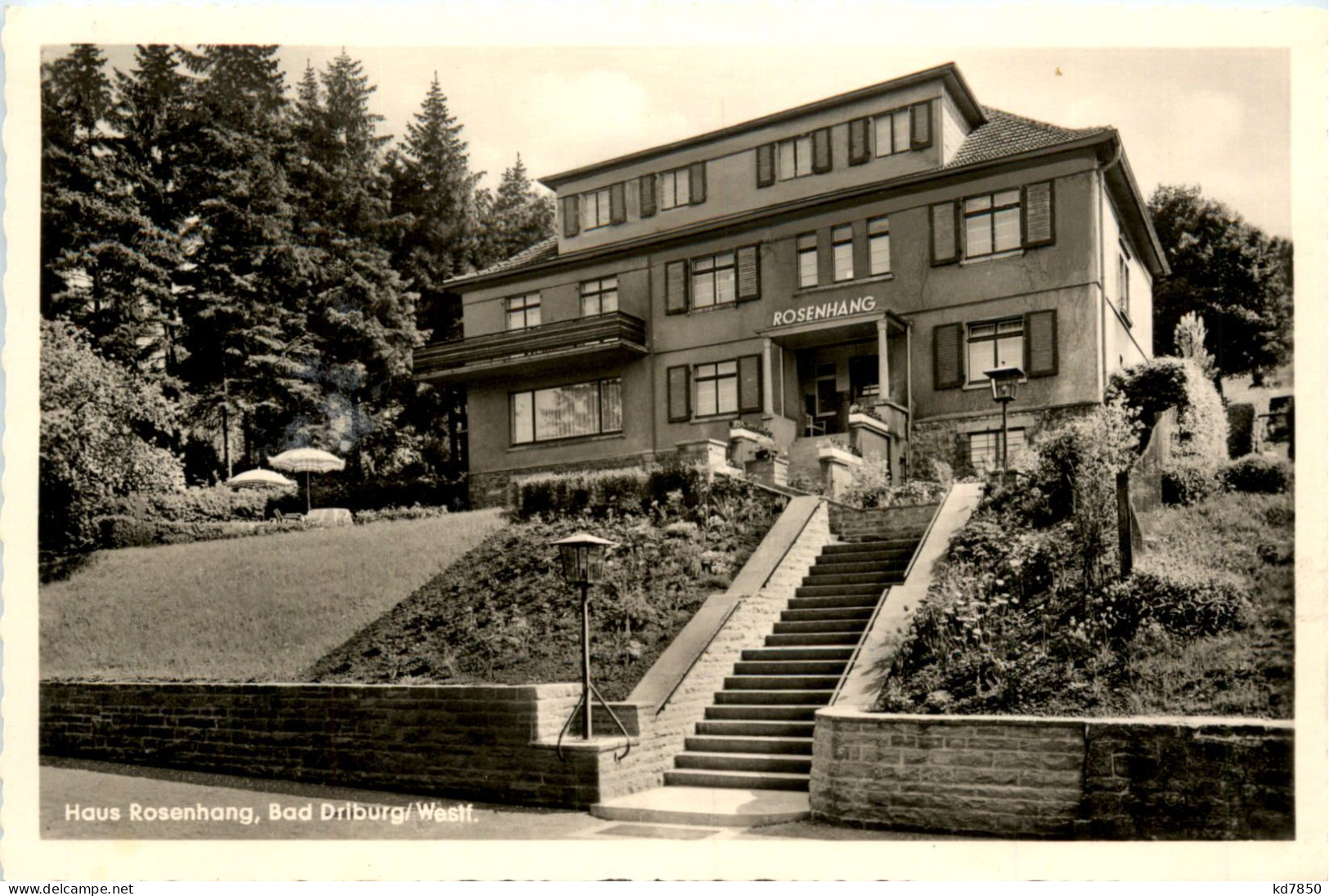 Bad Driburg - Haus Rosenhang - Bad Driburg