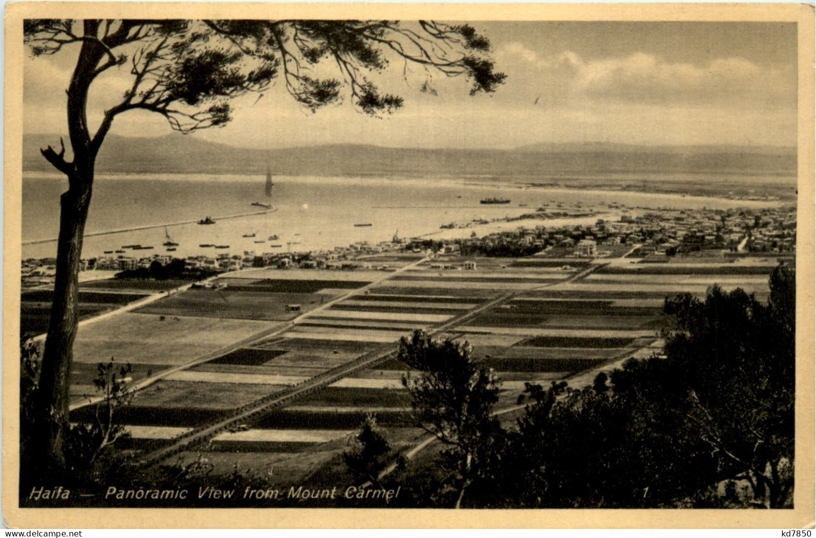 Haifa - Palestine - Palestina