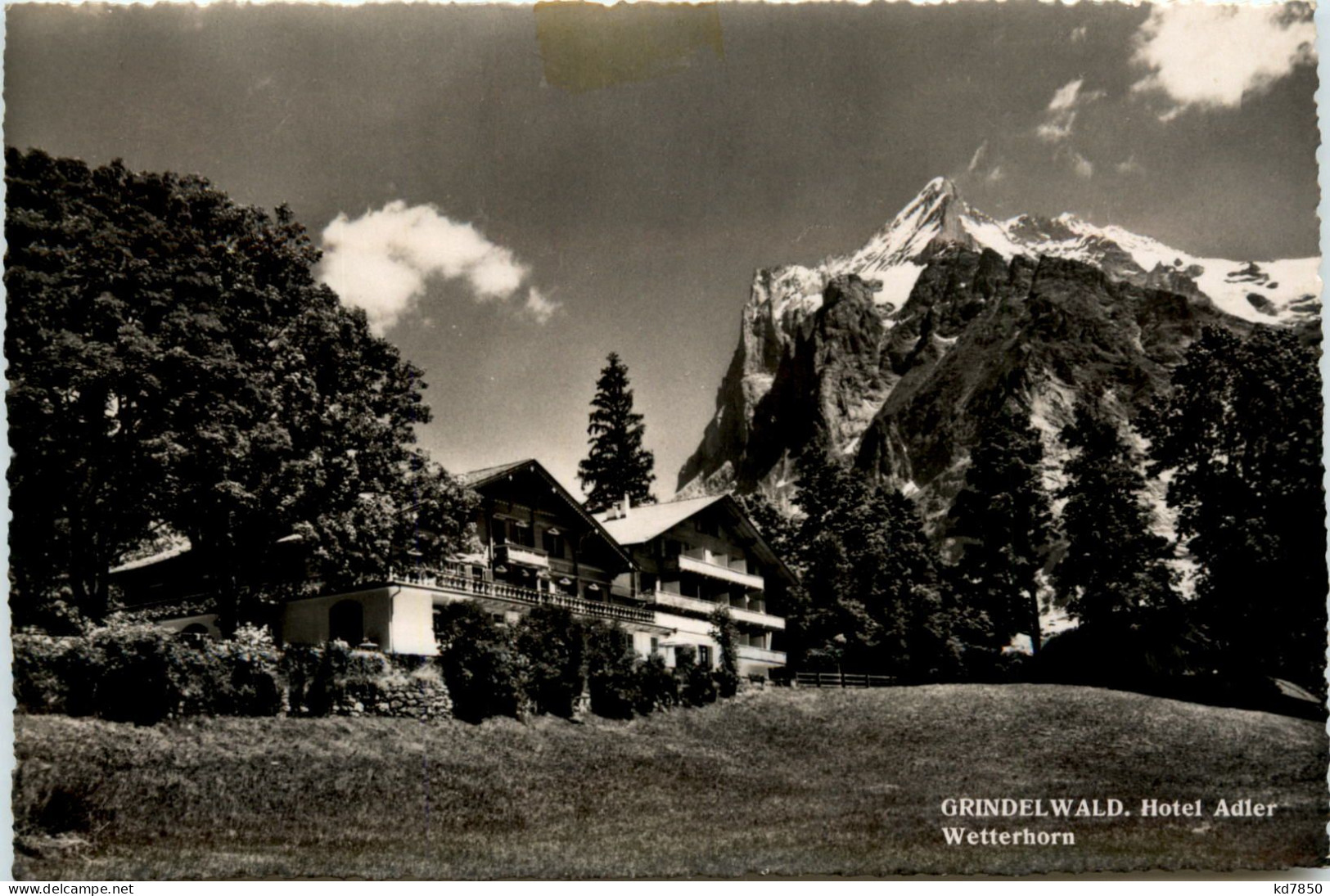Grindelwald - Hotel Adler - Grindelwald